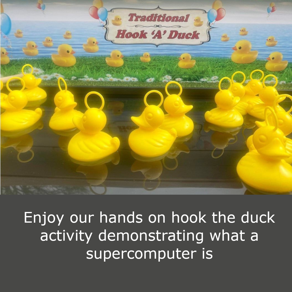 duck game